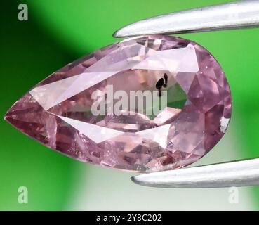 Exquisiter, birnenförmiger rosafarbener Diamant in Pinzette vor grünem Hintergrund. Stockfoto