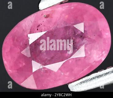 Atemberaubender, ovaler Schliff Hot Pink Ruby Edelstein mit komplexer Klarheit und Strahlkraft. Stockfoto