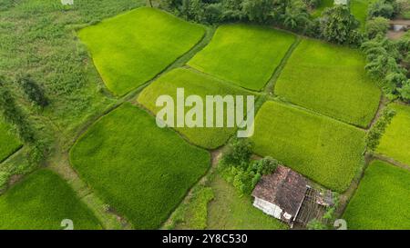 Luftaufnahme von wunderschönem Bauernhof mit Dorfhaus. Friedliches Dorfleben Drohnenschuss. Stockfoto