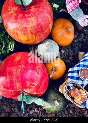 Mischung aus verschiedenen Kürbissen auf hölzernem Hintergrund Stockfoto