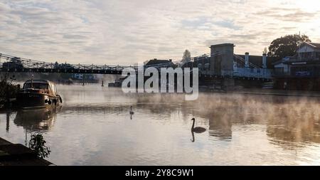 Marlow UK 4. Oktober - Schwäne im Nebel auf der Themse in Marlow, Buckinghamshire bei willkommenem, trockenem, sonnigem Wetter : Credit Simon Dack / Alamy Live News Stockfoto