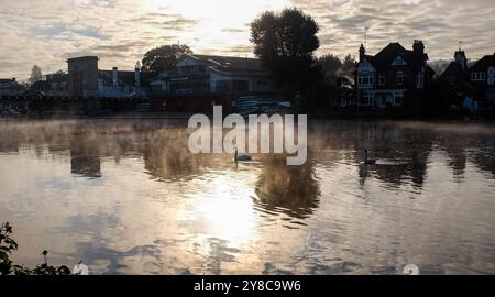 Marlow UK 4. Oktober - Schwäne im Nebel auf der Themse in Marlow, Buckinghamshire bei willkommenem, trockenem, sonnigem Wetter : Credit Simon Dack / Alamy Live News Stockfoto