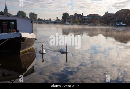 Marlow UK 4. Oktober - Schwäne im Nebel auf der Themse in Marlow, Buckinghamshire bei willkommenem, trockenem, sonnigem Wetter : Credit Simon Dack / Alamy Live News Stockfoto