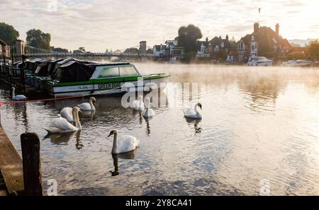 Marlow UK 4. Oktober - Schwäne im Nebel auf der Themse in Marlow, Buckinghamshire bei willkommenem, trockenem, sonnigem Wetter : Credit Simon Dack / Alamy Live News Stockfoto