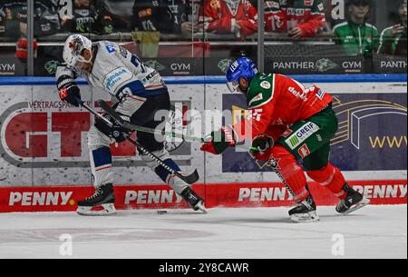 Kampf um den Puck / Zweikampf zwischen Colin Ugbekile (Iserlohn Roosters, #79) und Jason Bast (Augsburger Panther, #45). GER, Augsburger Panther gegen Iserlohn Roosters, Eishockey, DEL, 5. Spieltag, Saison 2024/2025, 02.10.2024. Foto: Eibner-Pressefoto/Heiko Feiner Stockfoto