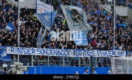 Die Fans der TSG 1899 Hoffenheim zeigen in der Fankurve ein Banner, Spruchband mit der Aufschrift: Rino der Sündenbock für eure Fehler, Solidarität mit Pellegrino Matarazzo (Rino, Trainer, Cheftrainer, Hoffenheim, nicht im Bild), Protestaktion, Protestaktion, protestieren, Aktion, Aktion, Fans, Ultras Publikum, Zuschauer, Stimmung, Atmosphäre, Stadion, 03.10.2024, Sinsheim (Deutschland), Fussball, UEFA Europa League, GRUPPENPHASE, TSG 1899 HOFFENHEIM - DYNAMO KIEW, VORSCHRIFTEN VERBIETEN DIE VERWENDUNG VON FOTOGRAFIEN ALS BILDSEQUENZEN UND/ODER QUASI-VIDEO. Stockfoto