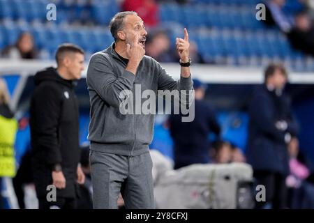 Sinsheim, Deutschland. Oktober 2024. Pellegrino Matarazzo (Rino, Trainer, Cheftrainer, Hoffenheim), gibt Anweisungen, gestikuliert, mit den Armen gestikulieren, Einzelbild, Einzelfoto, Aktion, Aktion, 03.10.2024, Sinsheim (Deutschland), Fussball, UEFA Europa League, Gruppenphase, TSG 1899 HOFFENHEIM - DYNAMO KIEW, VORSCHRIFTEN VERBIETEN DIE VERWENDUNG VON FOTOGRAFIEN ALS BILDSEQUENZEN UND/ODER QUASI-VIDEO. Quelle: dpa/Alamy Live News Stockfoto