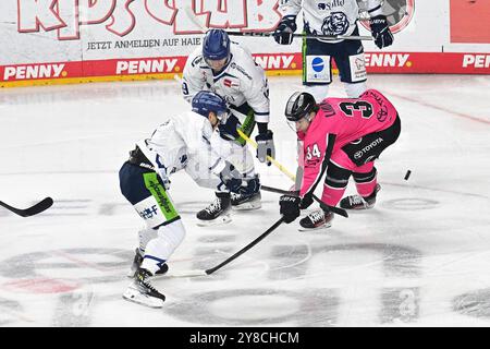 Eishockey DEL - 24/25 - 6. Spieltag: Kölner Haie vs Straubing Tigers am 03.10.2024 im in der LANXESS Arena in Köln Foto: Osnapix Stockfoto