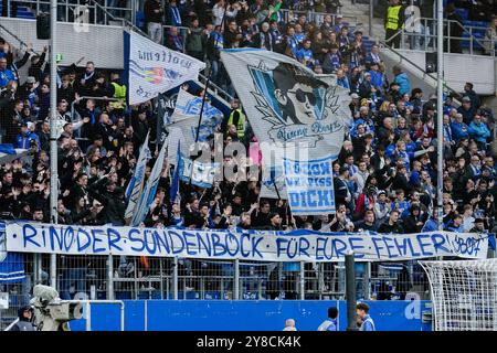 Die Fans der TSG 1899 Hoffenheim zeigen in der Fankurve ein Banner, Spruchband mit der Aufschrift: Rino der Sündenbock für eure Fehler, die aktive Fanszene zeigt Solidarität mit Pellegrino Matarazzo (Rino, Trainer, Cheftrainer, Hoffenheim, nicht im Bild), Protestaktion, Protestaktion, protestieren, Aktion, Aktion, Fans, Ultras Publikum, Zuschauer, Stimmung, Atmosphäre, Stadion, Fanblock, 03.10.2024, Sinsheim (Deutschland), Fussball, UEFA Europa League, Gruppenphase, TSG 1899 Hoffenheim - Dynamo Kiew, 03.10.2024, Sinsheim (Deutschland), Fussball, UEFA Europa League, Gruppenphase, TSG 1899 Hoffenheim Stockfoto