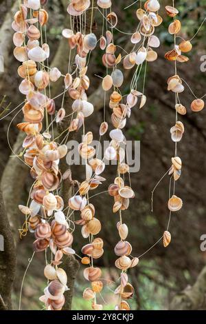 Muschelschnüre, die ein Windspiel bilden oder einen Schirm, der an der Decke einer griechischen Taverne als Dekoration in Form eines mobilen Ornaments hängt. Stockfoto