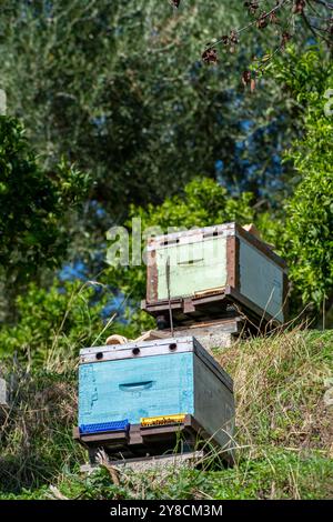 Bunt bemalte Bienenstöcke auf einem Hügel in Griechenland Stockfoto