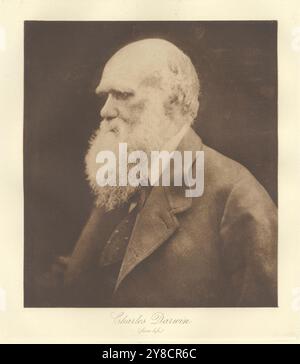 Julia Margaret Cameron - Charles Darwin, 1868/1893 Stockfoto