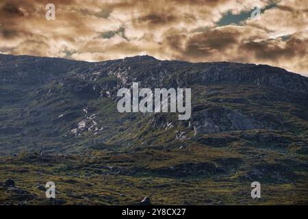 September 2024 - Südnorwegische Berge östlich von Ustaoset, Norwegen Stockfoto