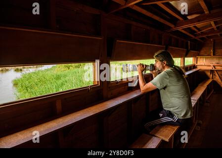 Einige Vogelbeobachtungen am SEO Birdlife Observatory in Riet Vell im Ebro Delta (Montsià, Tarragona, Katalonien, Spanien) Stockfoto