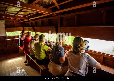 Einige Vogelbeobachtungen am SEO Birdlife Observatory in Riet Vell im Ebro Delta (Montsià, Tarragona, Katalonien, Spanien) Stockfoto