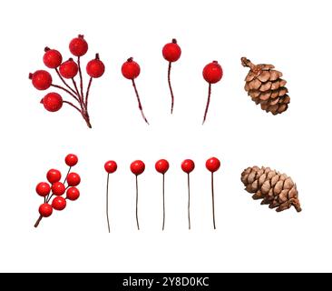 Ein Set zur Dekoration von Weihnachtsarrangements. Künstliche dekorative rote Beeren und natürliche Kegel isoliert auf weißem Hintergrund. Stockfoto