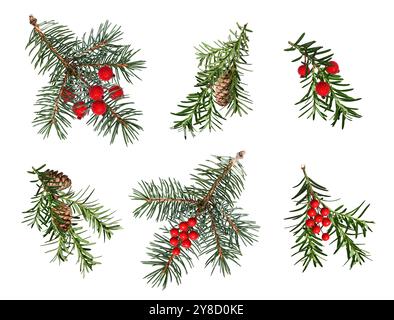 Eine Reihe von Nadelzweigen, verziert mit künstlichen roten Beeren und Kegeln. Blaue Fichte, Weihnachtsbaum, Eibenzweige. Stockfoto