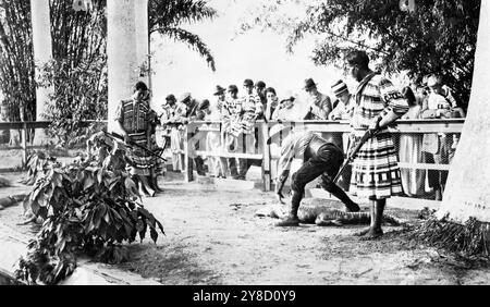 Zwei Mikasuki Seminolen halten Gewehre, während ein Weißer im Musa Isle Seminole Indian Village am Miami River in Miami, Florida, um einen Alligator kämpft. (USA) Stockfoto