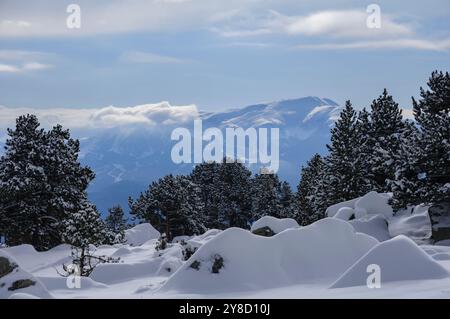 Umgebung der Schutzhütte Malniu im Winter nach einem Schneefall (Cerdanya, Girona, Katalonien, Spanien, Pyrenäen) ESP: Alrededores del refugio de Malniu Stockfoto