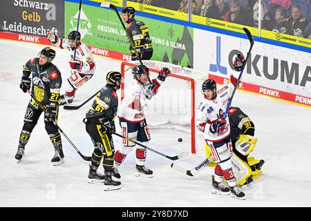 Eishockey DEL2 - 24/25 - 8. Spieltag: Krefeld Pinguine vs EHC Freiburg am 04.10.2024 in der Yayla Arena in Krefeld Torjubel der Freiburger nach dem 0:1 Foto: Osnapix Stockfoto