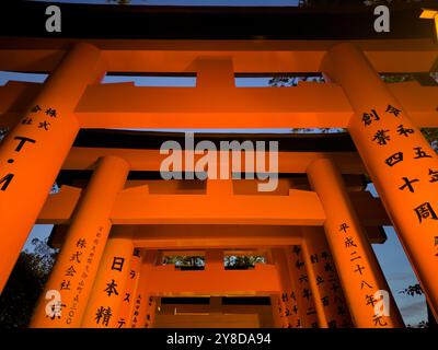 Der große Schrein Fushimi Inari Taisha in Kyoto, Japan, berühmt für die Tausenden von Torii-Toren, die zum heiligen Berg Inari führen Stockfoto