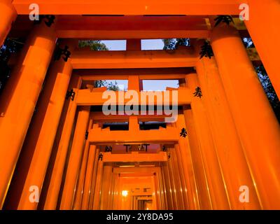 Der große Schrein Fushimi Inari Taisha in Kyoto, Japan, berühmt für die Tausenden von Torii-Toren, die zum heiligen Berg Inari führen Stockfoto