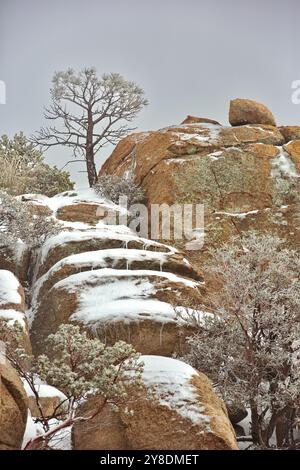 Felsiger Hang führt zu schneebedeckten Stufen zum Winterbaum auf dem Mt Lemmon, einer Sky Island in Tucson, der Catalina Mountain Range in Arizona in der Sonora-Wüste Stockfoto