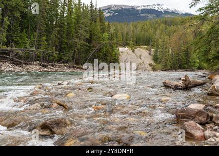 Atemberaubender Fluss in der Nähe des Maligne Canyon in Jasper, Alberta, im Frühling mit umliegenden borealen Wäldern mit klarem, unberührtem Gletscherwasser und Felsen. Stockfoto