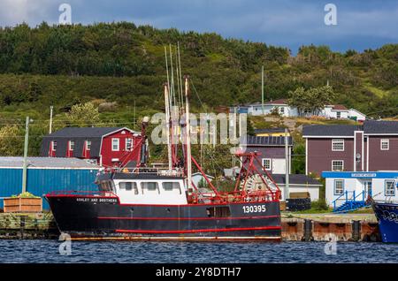 Fischerboot, St. Anthony, Neufundland, Kanada Stockfoto