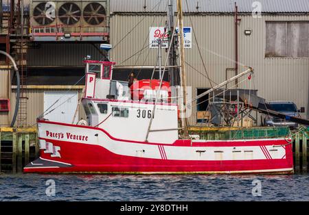 Fischerboot, St. Anthony, Neufundland, Kanada Stockfoto