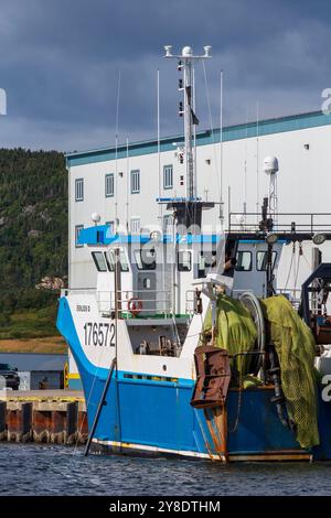 Fischerboot, St. Anthony, Neufundland, Kanada Stockfoto
