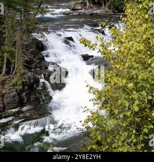 McDonald Creek in Glacier Nationalpark Stockfoto