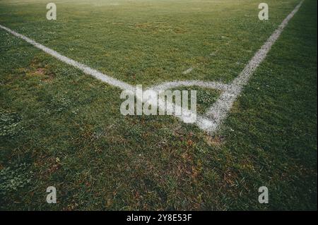 Rasen eines Fußballplatzes mit Markierungslinien, leere Atmosphäre, Ecke des Fußballplatzes Stockfoto