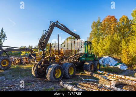 Nahaufnahme der Holzfällmaschine, die im Waldgebiet geparkt ist und im Herbst in der Nähe des Holzstücks gestapelt ist. Schweden. Stockfoto