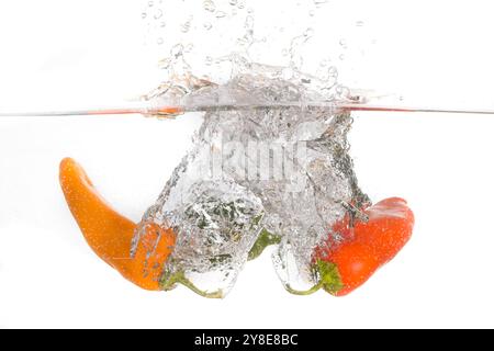 Ein abstraktes Foto von drei süßen Paprika, die in klares Wasser gefallen sind. Stockfoto