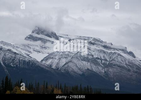 Canadian Rocky Mountains in Alberta in Kanada vom David Thompson Highway aus gesehen am Fuße der Rockys. Stockfoto