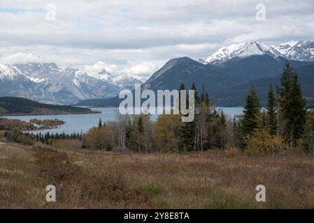 Canadian Rocky Mountains in Alberta in Kanada vom David Thompson Highway aus gesehen am Fuße der Rockys. Stockfoto