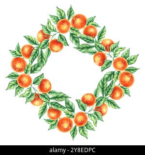 Botanische Aquarellillustration mit handgezeichneten Mandarinen Stockfoto
