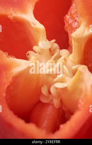 Samen der geschnittenen roten Paprika in Nahaufnahme, Innenseite der süßen, nicht scharfen Paprika im Vollformathintergrund mit weichem Fokus Stockfoto