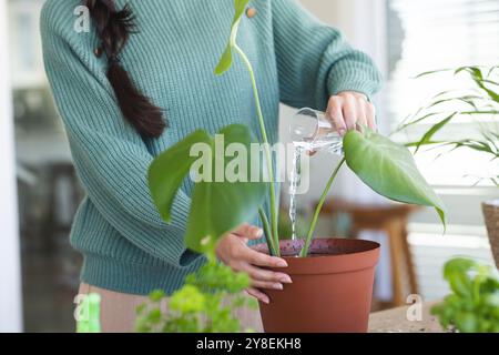 Mittelteil einer jungen kaukasischen Frau, die zu Hause Topfpflanzen auf dem Tisch tränkt Stockfoto