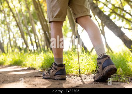 Niedriger Teil eines birassischen Mannes mit einem Wanderstock und Wanderungen im Wald Stockfoto