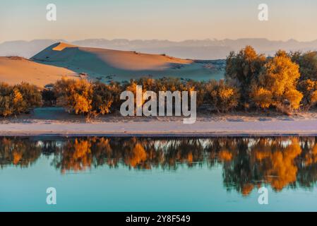 ALTAY, CHINA – 4. OKTOBER 2024 – der Berezik River fließt von Osten nach Westen in den Arktischen Ozean in der Präfektur Altay, Provinz Xinjiang, China, Oktobe Stockfoto