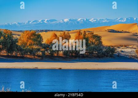 ALTAY, CHINA – 4. OKTOBER 2024 – der Berezik River fließt von Osten nach Westen in den Arktischen Ozean in der Präfektur Altay, Provinz Xinjiang, China, Oktobe Stockfoto