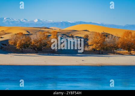 ALTAY, CHINA – 4. OKTOBER 2024 – der Berezik River fließt von Osten nach Westen in den Arktischen Ozean in der Präfektur Altay, Provinz Xinjiang, China, Oktobe Stockfoto