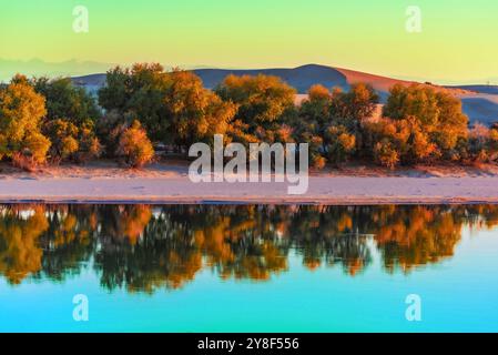 ALTAY, CHINA – 4. OKTOBER 2024 – der Berezik River fließt von Osten nach Westen in den Arktischen Ozean in der Präfektur Altay, Provinz Xinjiang, China, Oktobe Stockfoto