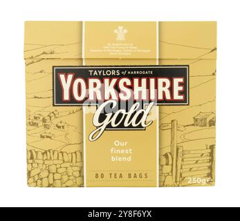 Taylors of Harrogate Yorkshire Goldteebeutel in einer 250-g-Box mit 80 Teebeuteln Stockfoto