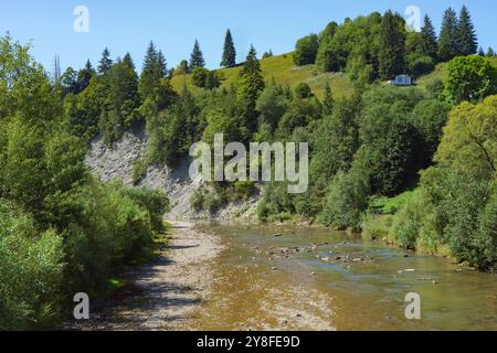 Bergfluss zwischen den Hügeln mit Kiefern und Fichtenbäumen mit felsigem Ufer, schnellem Wasser. Natur Sommerlandschaft der Karpaten, Ukraine Stockfoto
