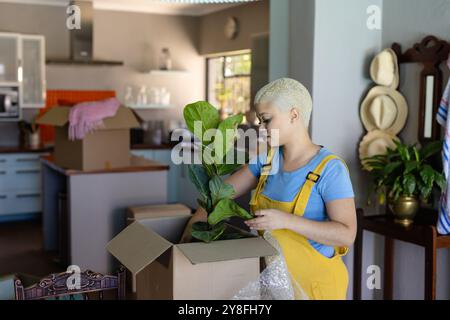 Glückliche, modische, unveränderte Frau, die Besitztümer in Kisten packt, um das Haus umzuziehen Stockfoto