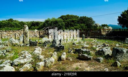 Nekropole von Li Muri. Arzachena. Provinz Sassari, Sardinien. Italien Stockfoto