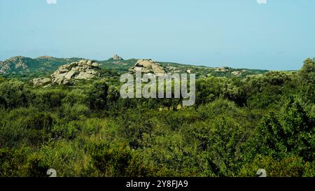 Nekropole von Li Muri. Arzachena. Provinz Sassari, Sardinien. Italien Stockfoto